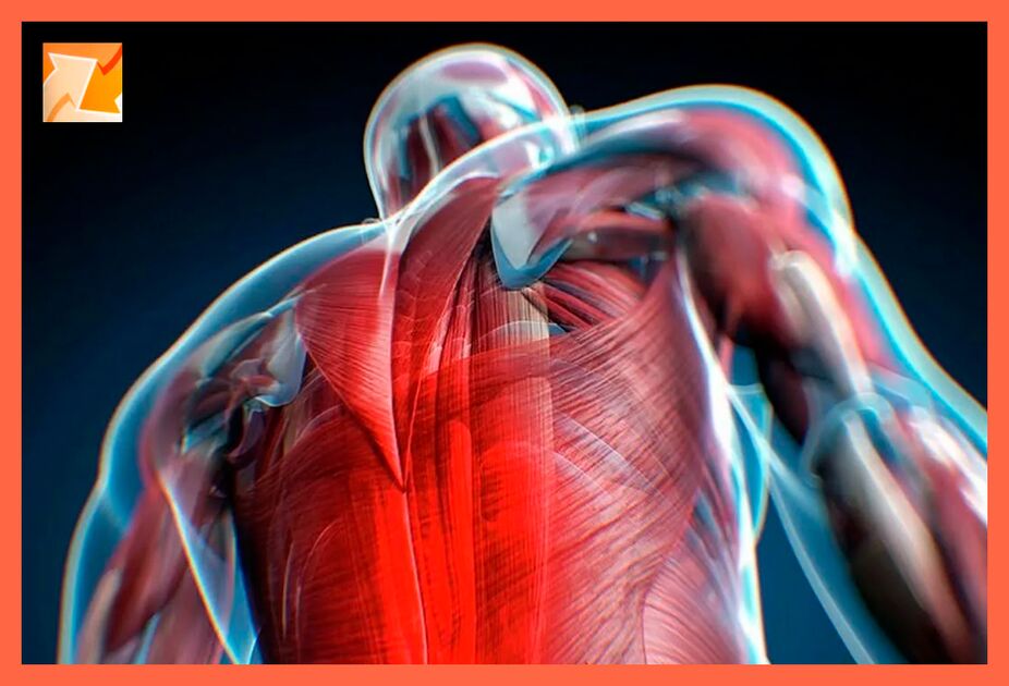 A kényelmetlenség jellemzői